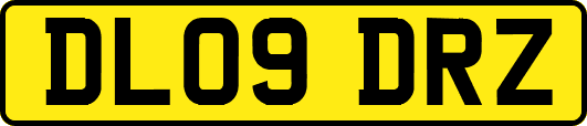 DL09DRZ