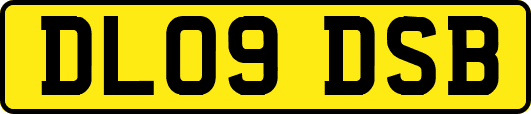 DL09DSB