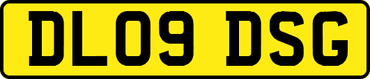 DL09DSG