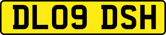 DL09DSH