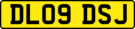 DL09DSJ