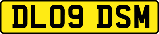 DL09DSM