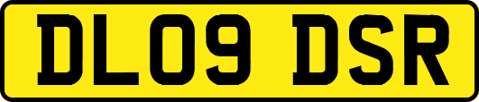 DL09DSR