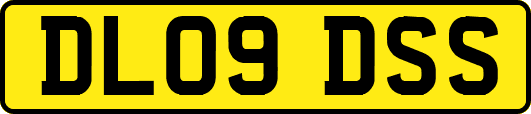 DL09DSS