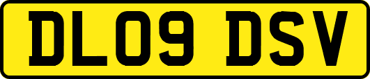DL09DSV