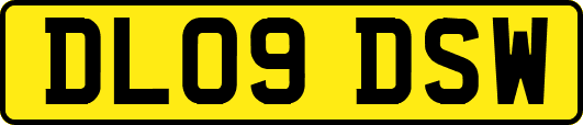 DL09DSW