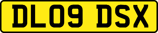 DL09DSX