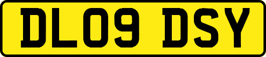 DL09DSY
