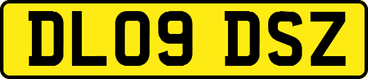 DL09DSZ