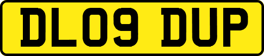 DL09DUP