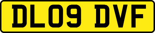 DL09DVF