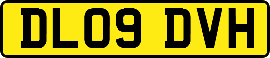 DL09DVH