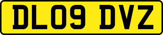 DL09DVZ