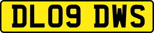 DL09DWS