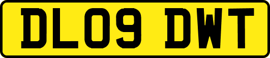 DL09DWT