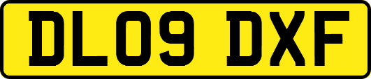 DL09DXF