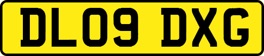 DL09DXG