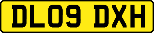 DL09DXH
