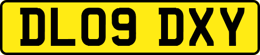 DL09DXY