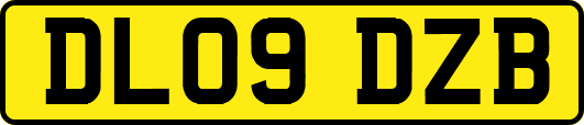 DL09DZB