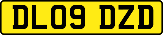 DL09DZD