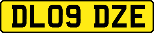 DL09DZE