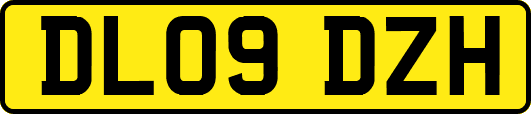 DL09DZH