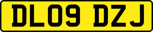 DL09DZJ