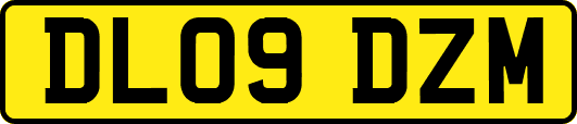 DL09DZM