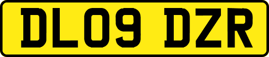 DL09DZR