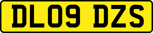 DL09DZS