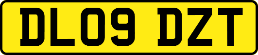 DL09DZT