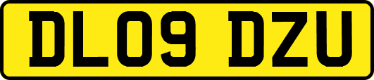 DL09DZU