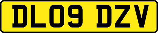DL09DZV