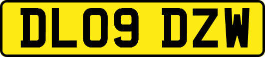 DL09DZW