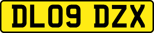 DL09DZX