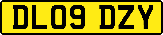 DL09DZY