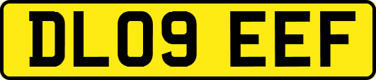 DL09EEF