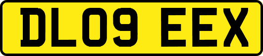 DL09EEX