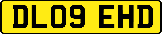DL09EHD