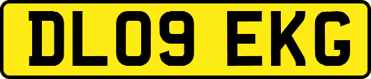 DL09EKG