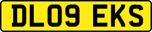 DL09EKS