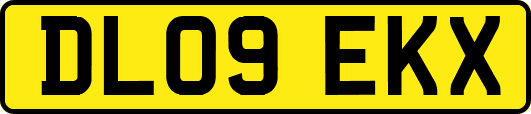 DL09EKX