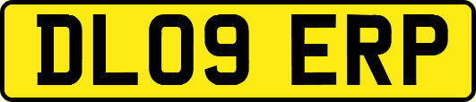 DL09ERP