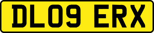 DL09ERX