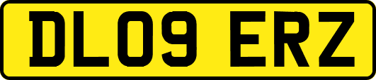 DL09ERZ