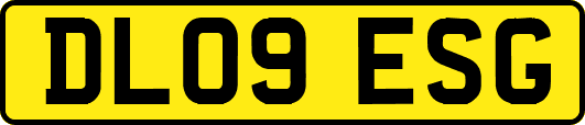 DL09ESG