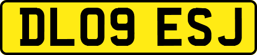 DL09ESJ