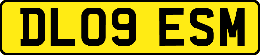 DL09ESM