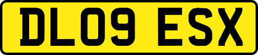 DL09ESX